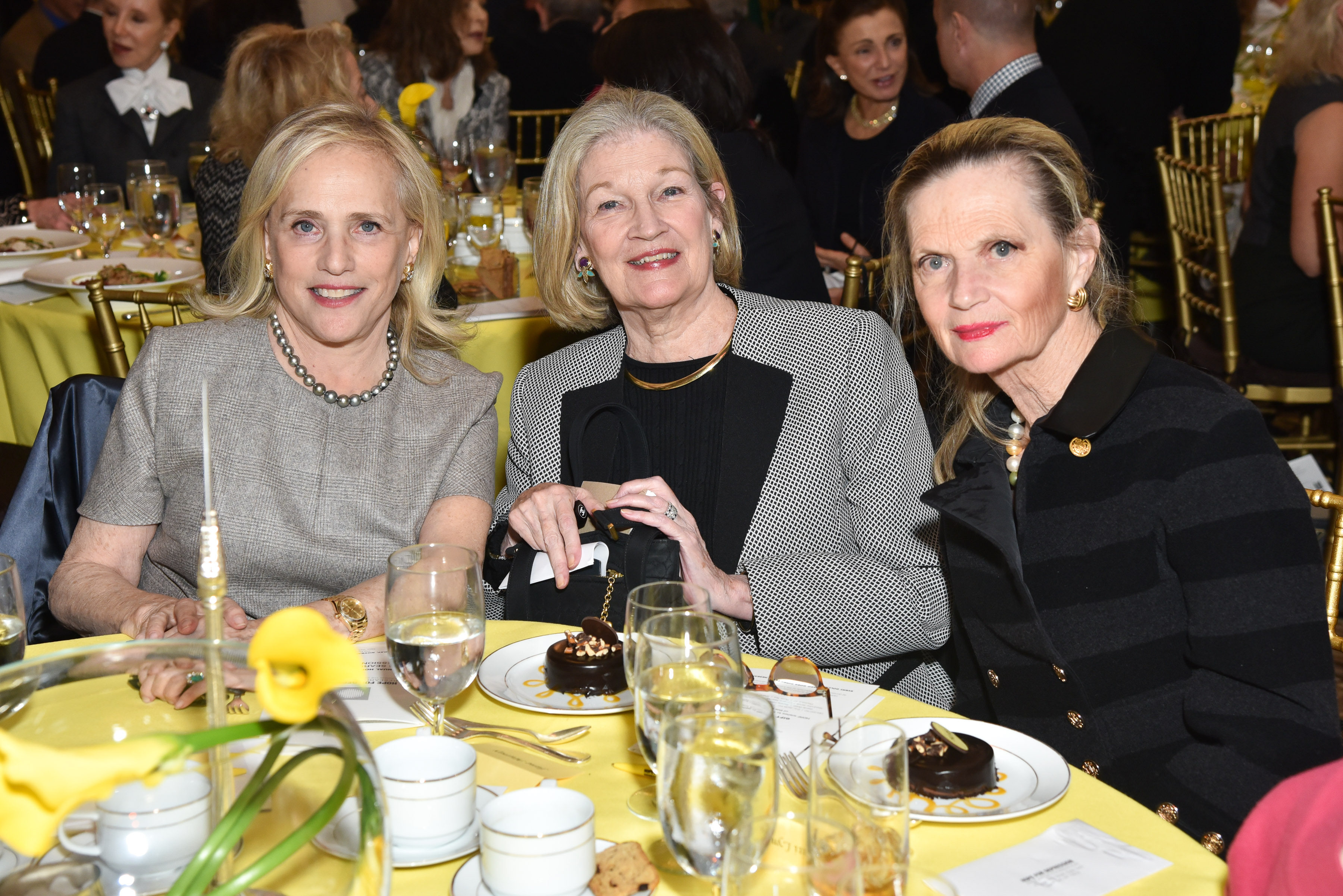 Ann Barish, Jane Marray, Pattie Lynch== Hope for Depression Research Foundation 10th Annual Hope Luncheon Seminar== The Plaza Hotel, NYC== November 15, 2016== ©Patrick McMullan== Photo - Jared Siskin/PMC== == ==
